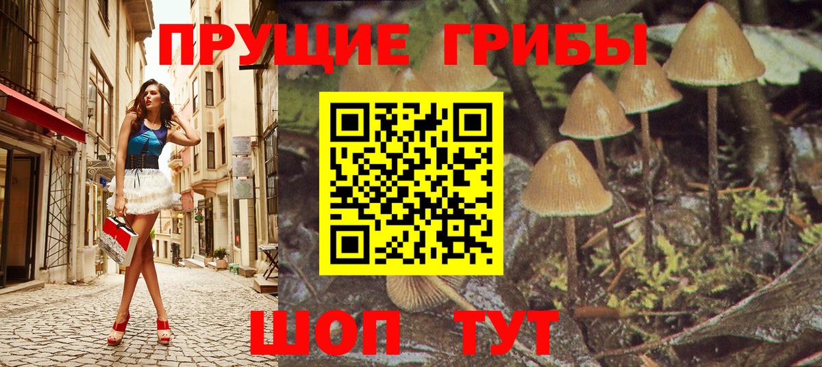 Галлюциногенные грибы Psilocybine cubensis Ипатово