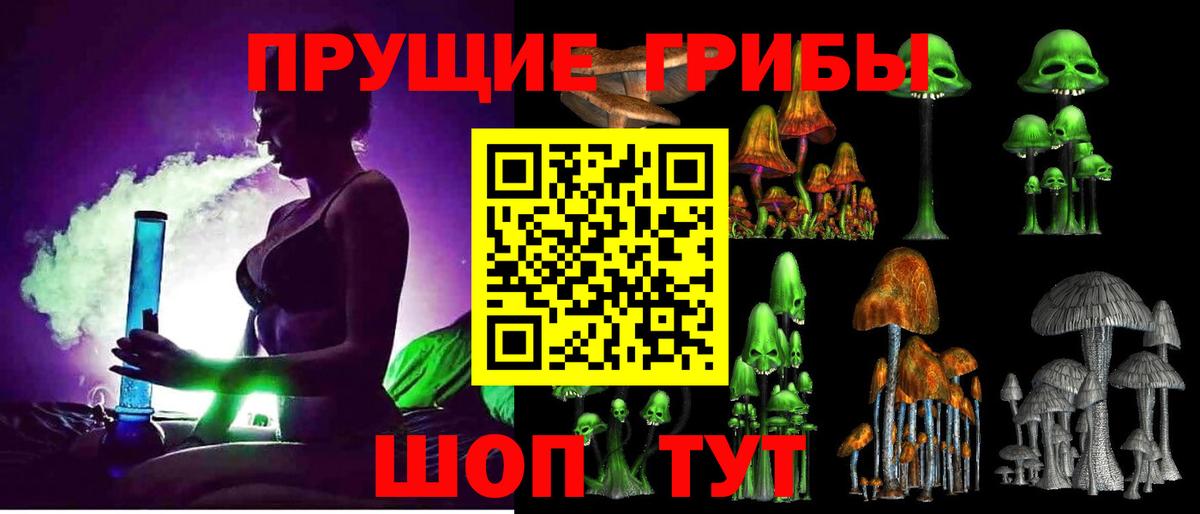 Псилоцибиновые грибы Psilocybe  Вход с VPN  Псилоцибиновые грибы GOLDEN TEACHER  Ипатово 
